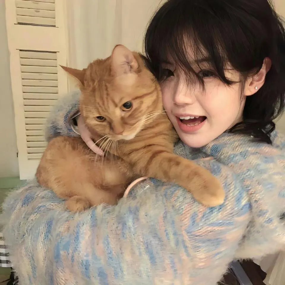 猫和老鼠旧版