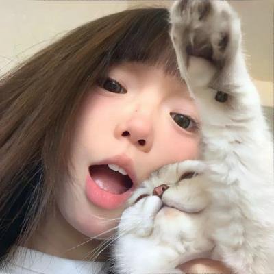 闹剧谜案